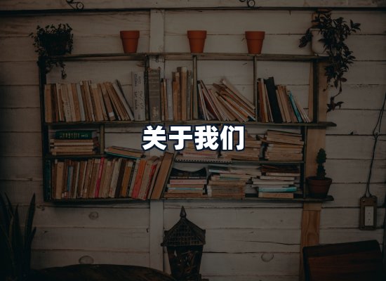 关于我们