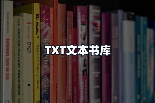 TXT文本书库